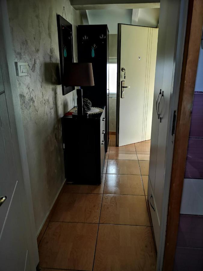 Apartman Sunny Apartman Cetinje Kültér fotó