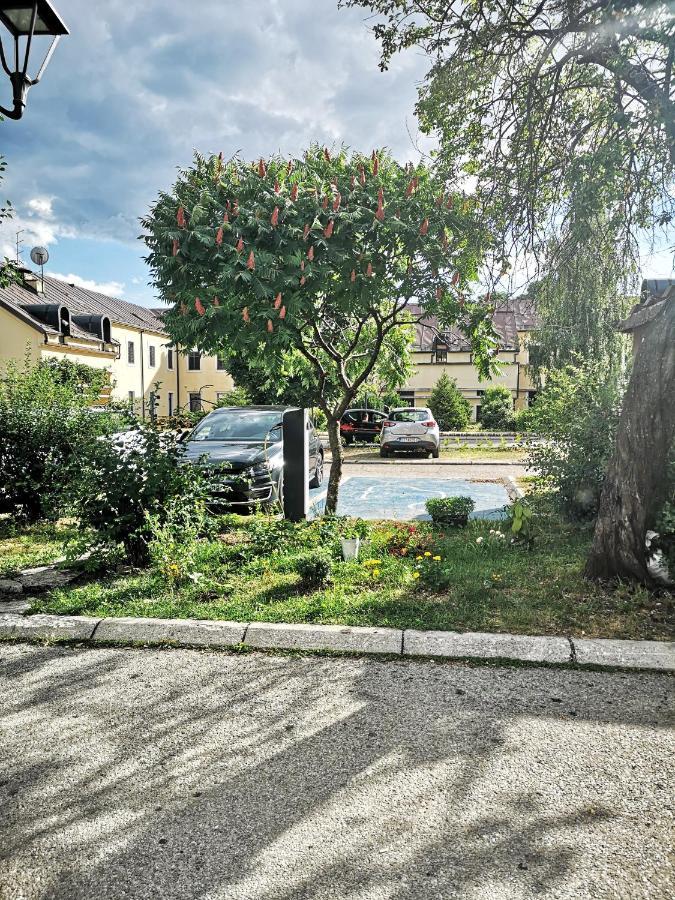 Apartman Sunny Apartman Cetinje Kültér fotó