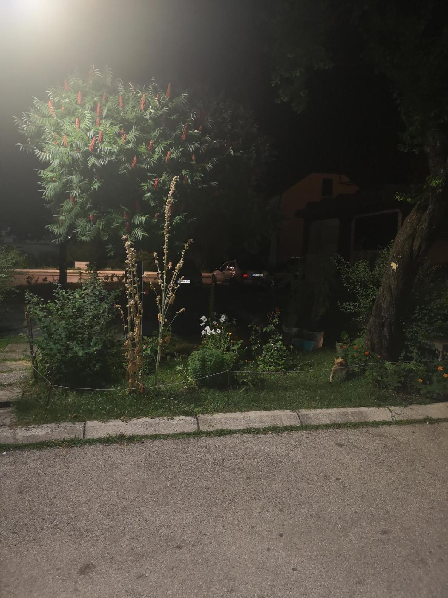 Apartman Sunny Apartman Cetinje Kültér fotó
