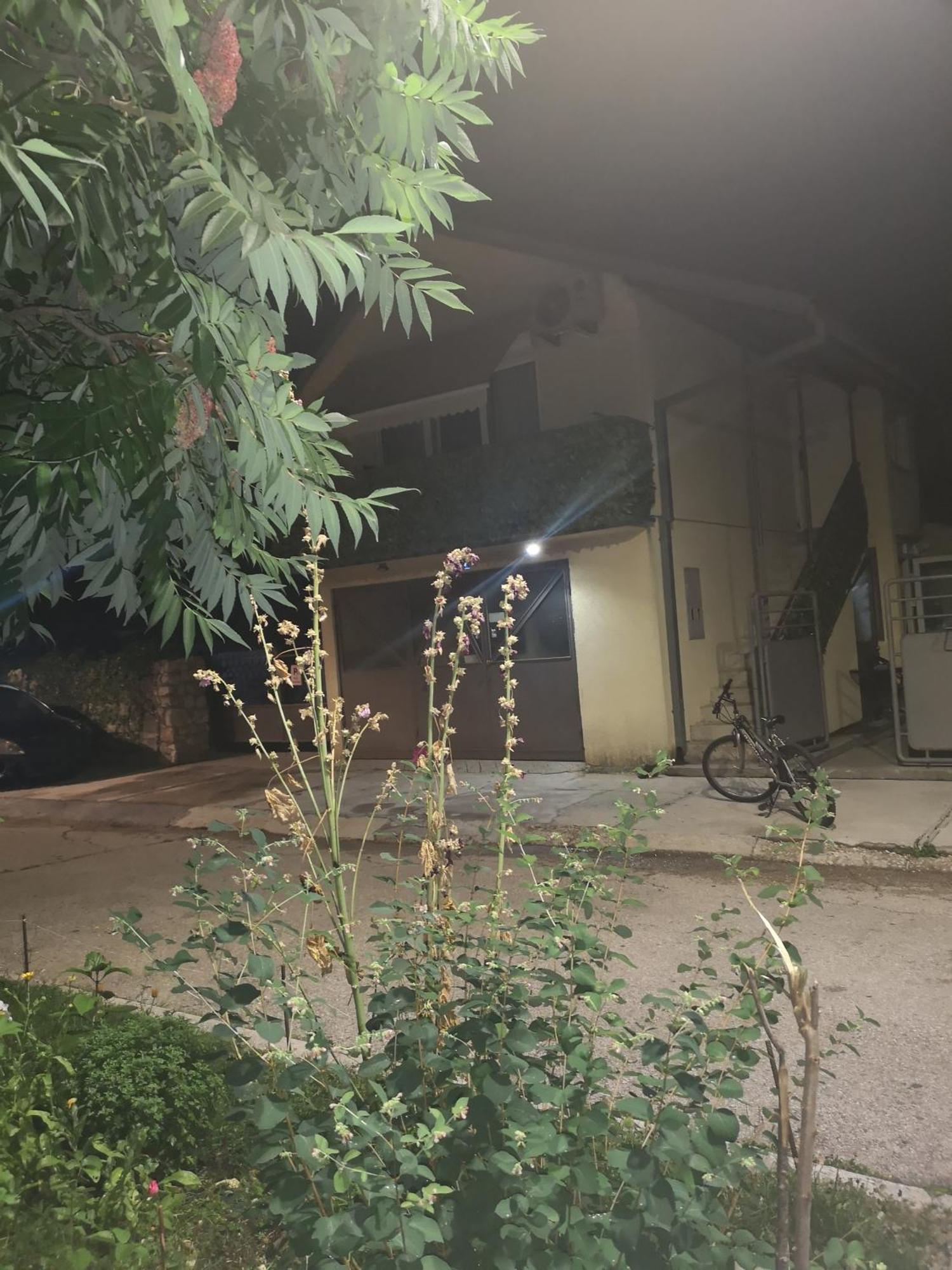 Apartman Sunny Apartman Cetinje Kültér fotó